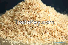 Best quality wood shavings Wood Shavings/wood Sawdust/agricultural Waste For Sal