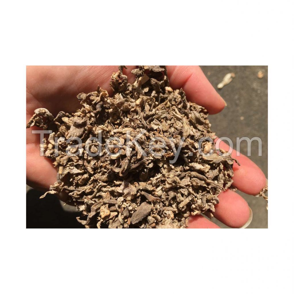 Beet pulp available for sale in bulk at wholesale prices 