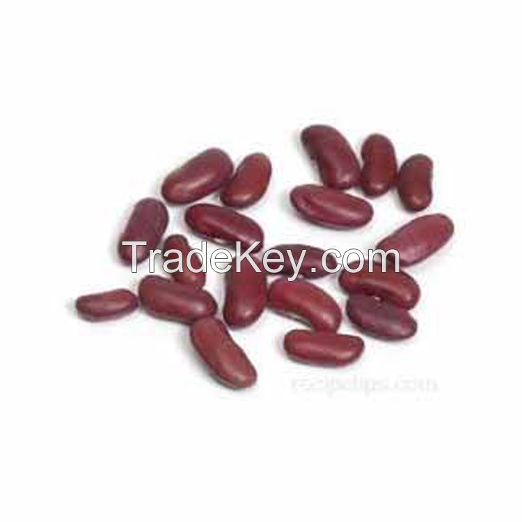 Wholesale Dried Dark Red Kidney Bean long shape Kidney Beans