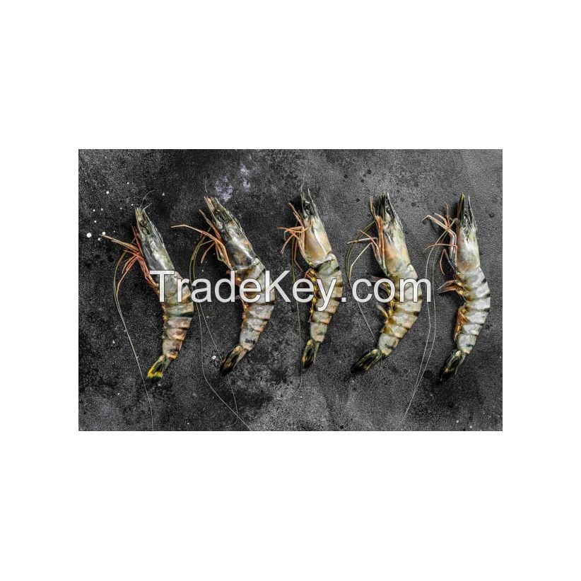 High-quality Shrimps Perfect For Restaurants And Seafood Suppliers