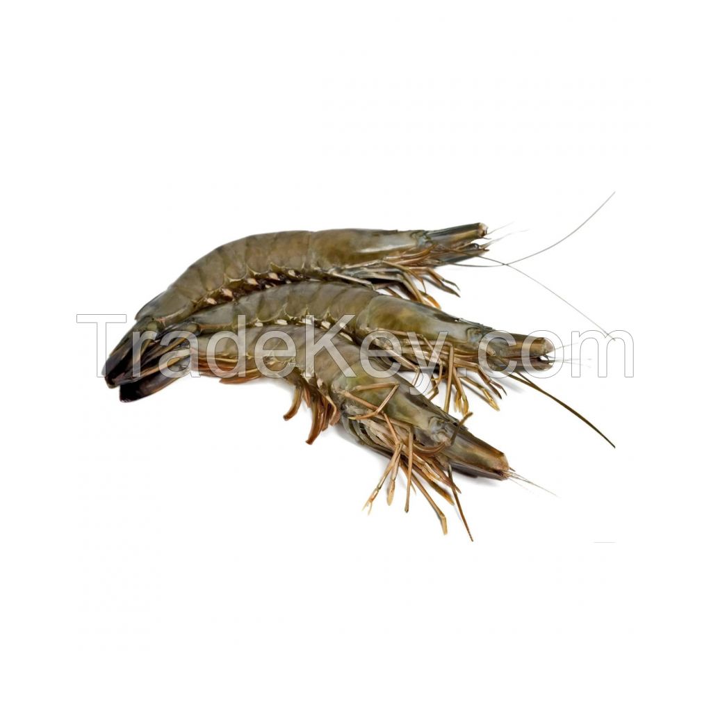High-quality Shrimps Perfect For Restaurants And Seafood Suppliers