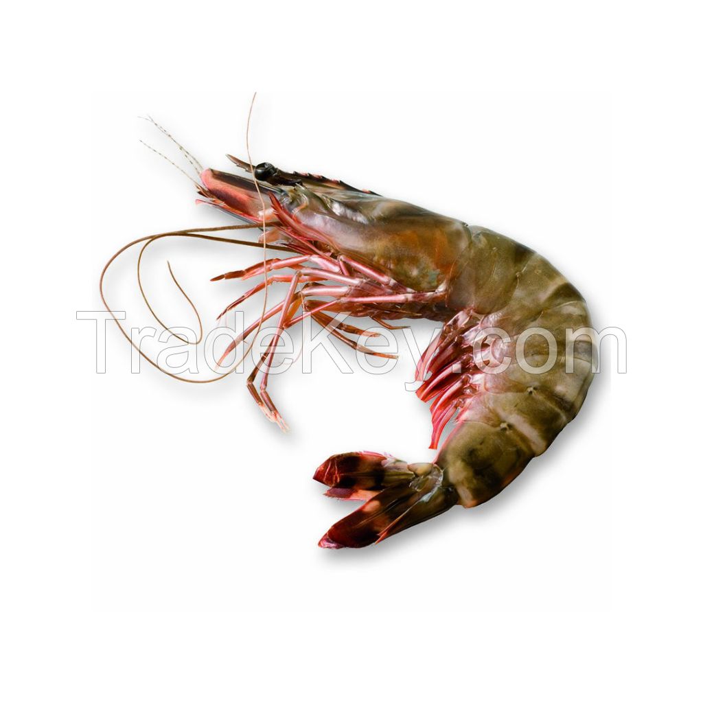 High-quality Shrimps Perfect For Restaurants And Seafood Suppliers