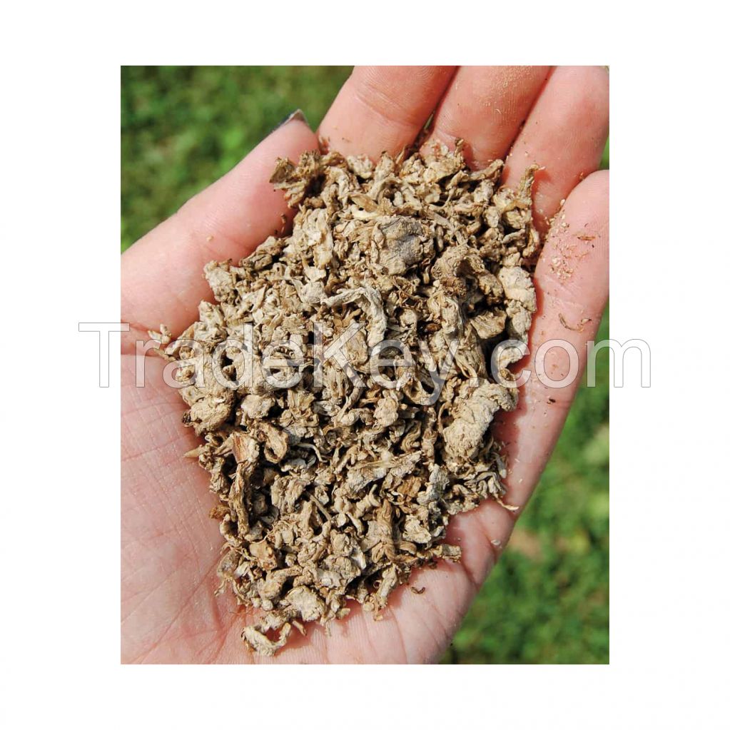 Beet pulp available for sale in bulk at wholesale prices 