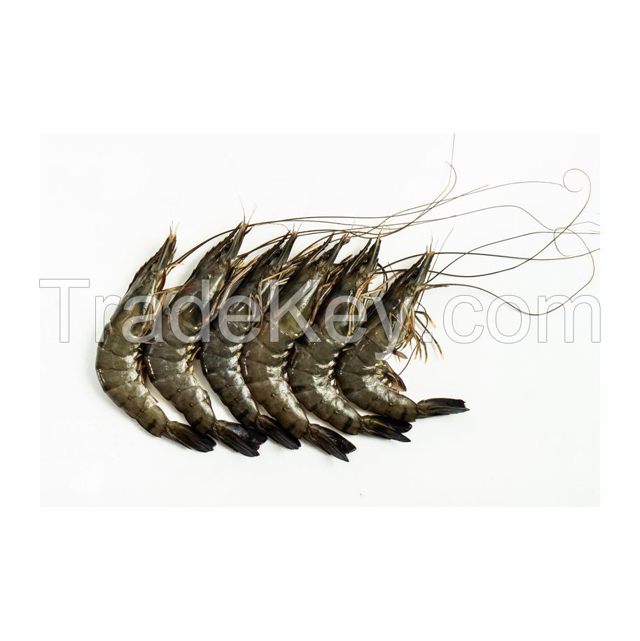 High-quality Shrimps Perfect For Restaurants And Seafood Suppliers
