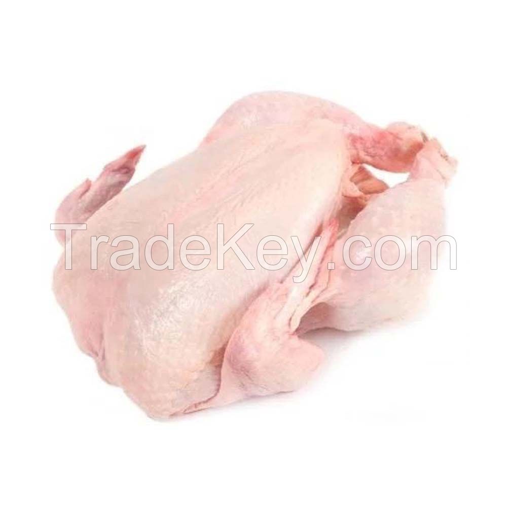 Premium Frozen Whole Chicken available in bulk