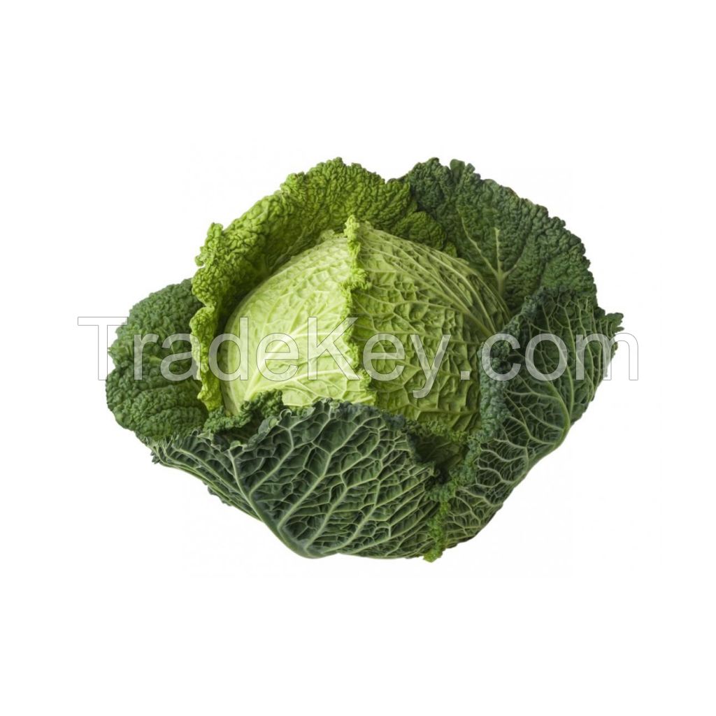 Premium fresh cabbage available for sale in bulk