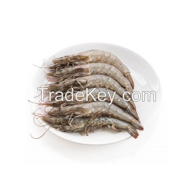 Frozen Whole White Shrimp available for global markets
