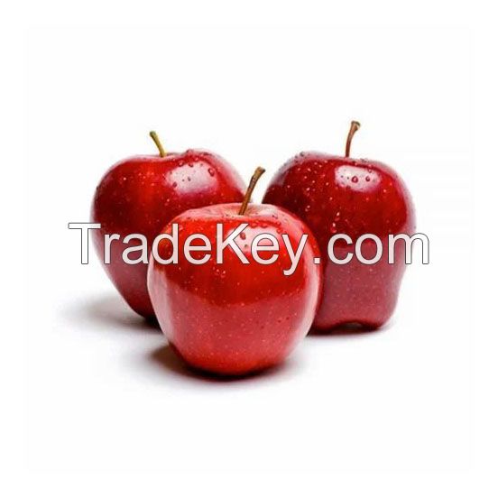 Organic Red Apples for sale in large quantities