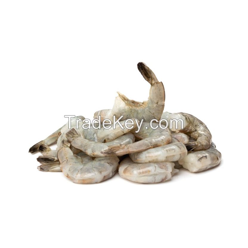 Frozen Whole White Shrimp available for global markets