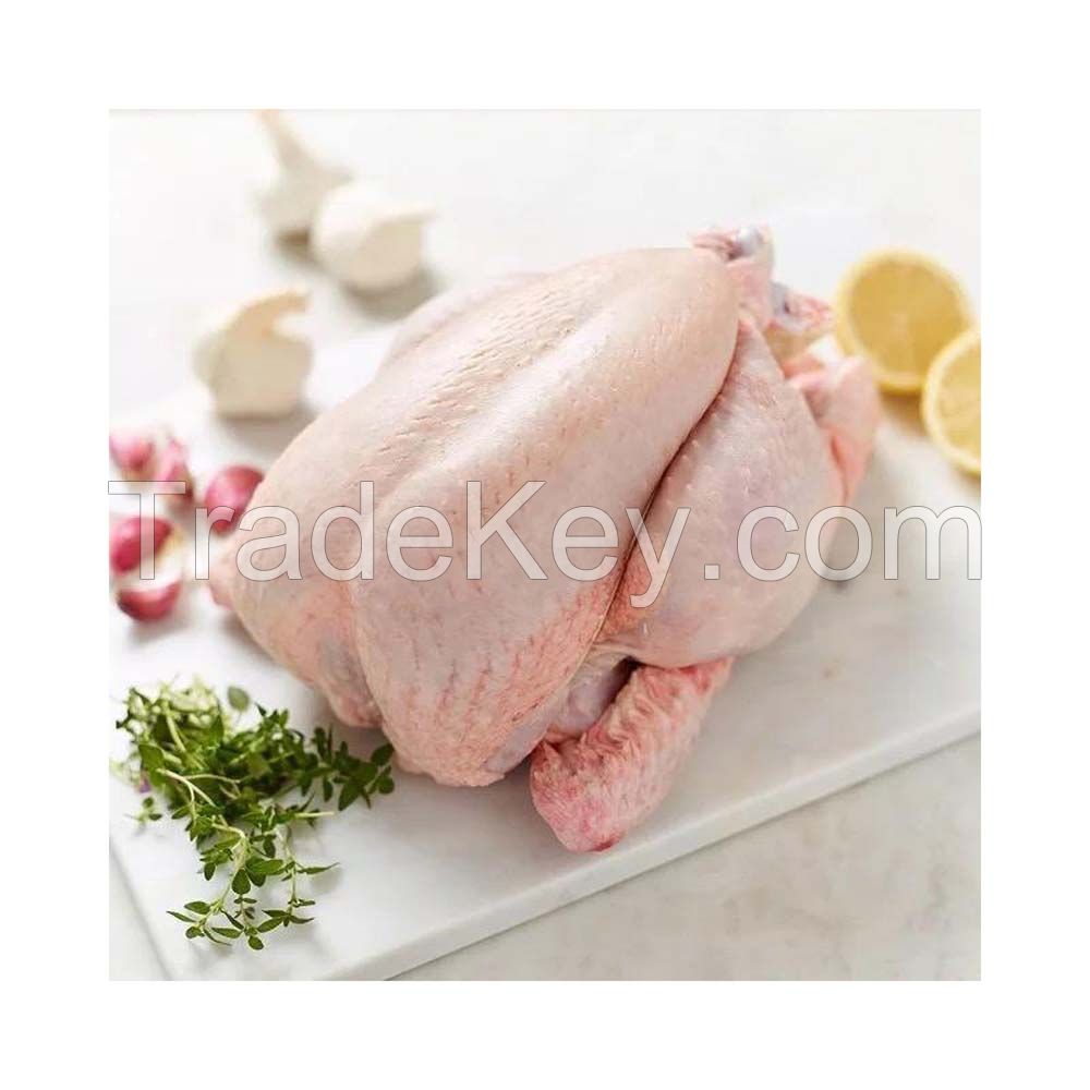 Premium Frozen Whole Chicken available in bulk