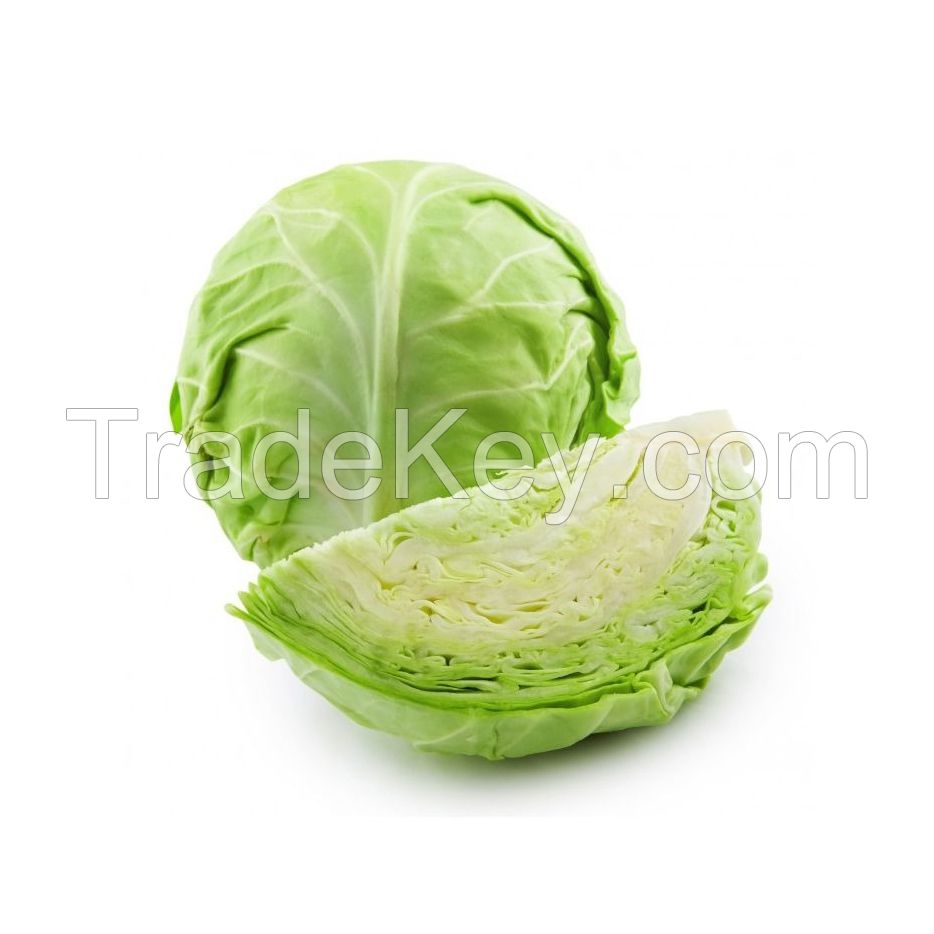 Premium fresh cabbage available for sale in bulk