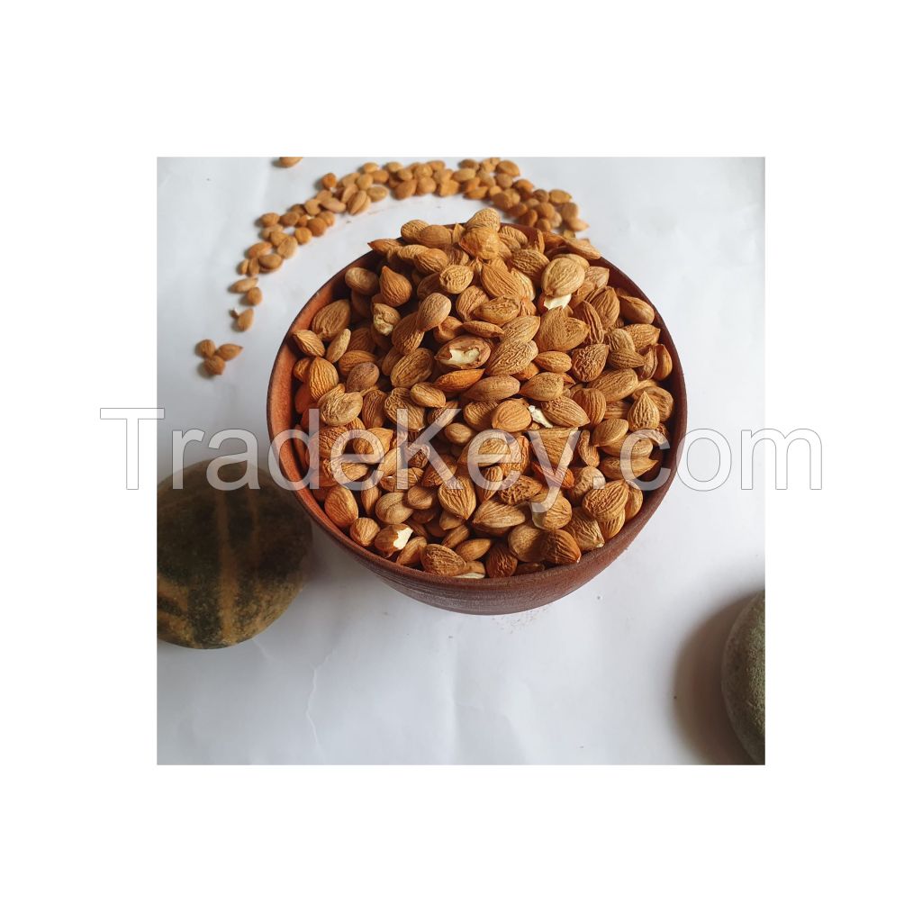 Raw apricot kernels available in bulk at wholesale prices