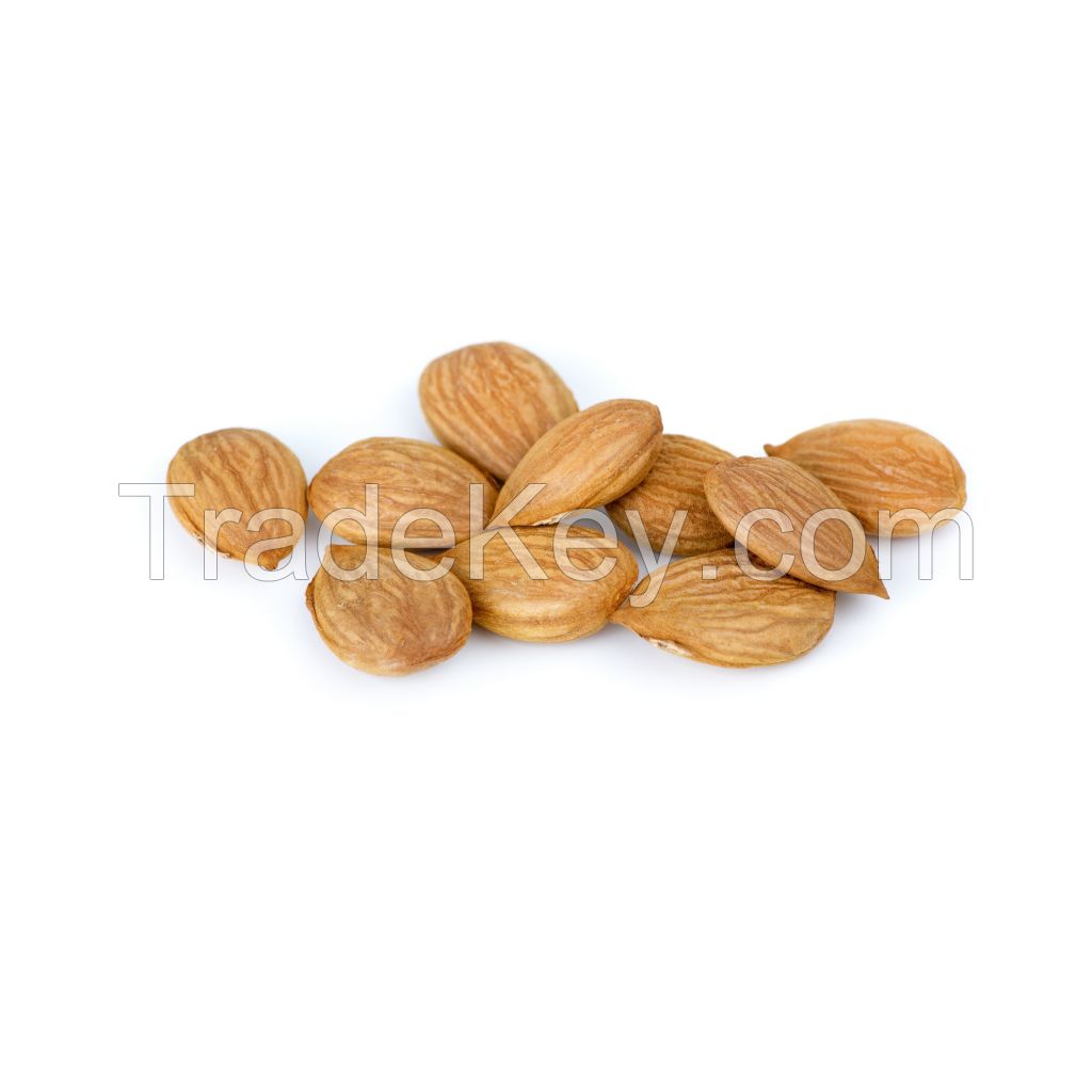 Raw apricot kernels available in bulk at wholesale prices