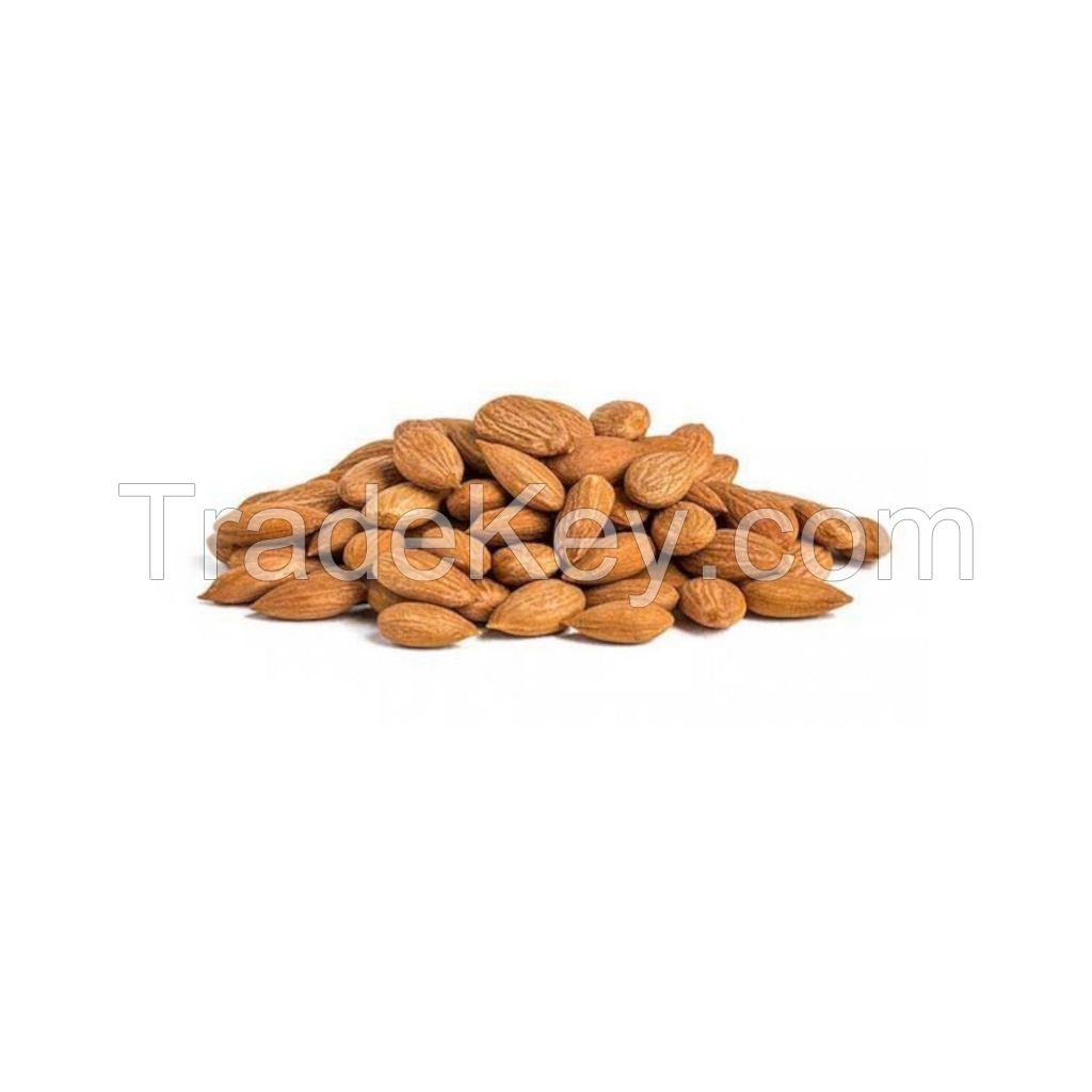 Raw apricot kernels available in bulk at wholesale prices