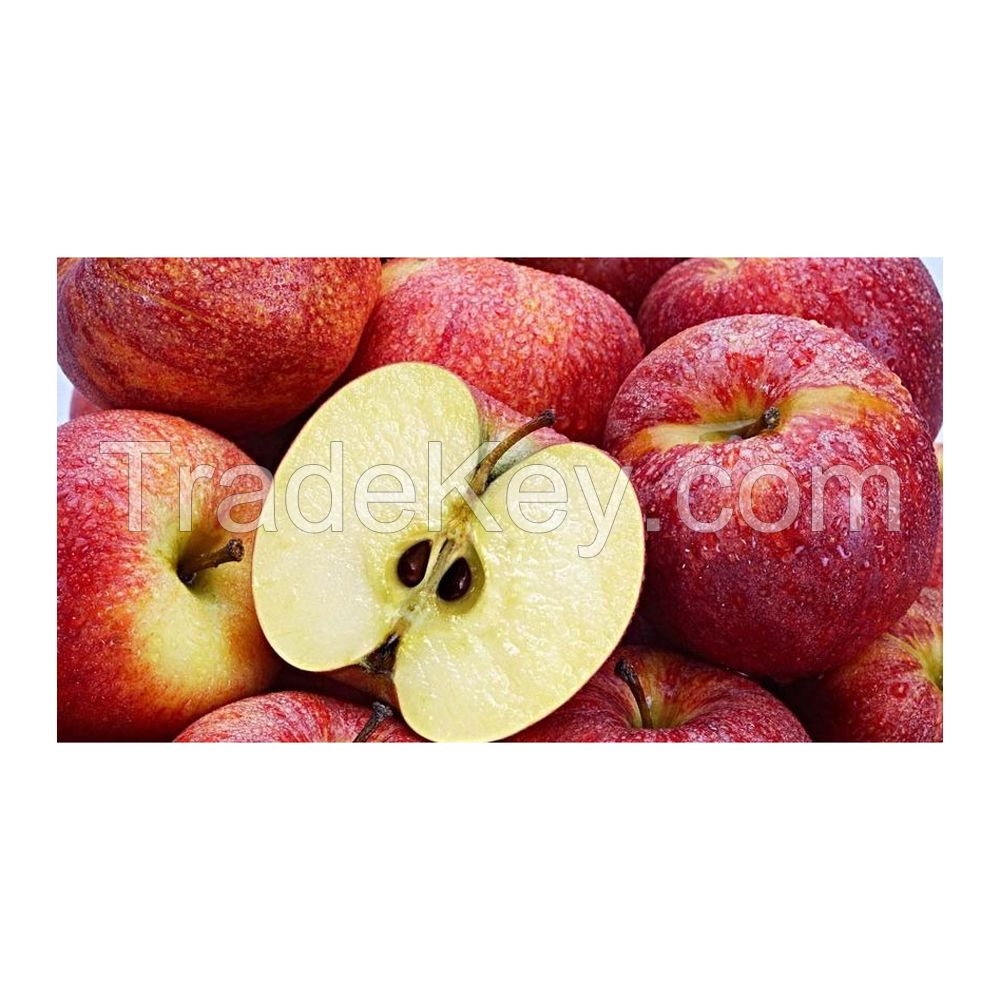 Fresh and juicy Red Apples available in bulk at low prices