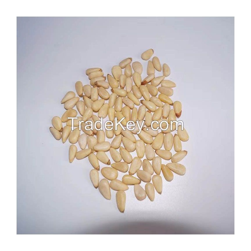 Premium quality Organic Pine Nuts for cooking and baking