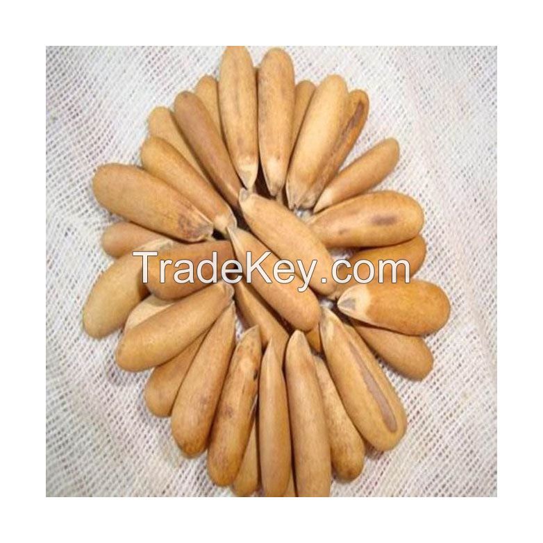 Premium quality Organic Pine Nuts for cooking and baking