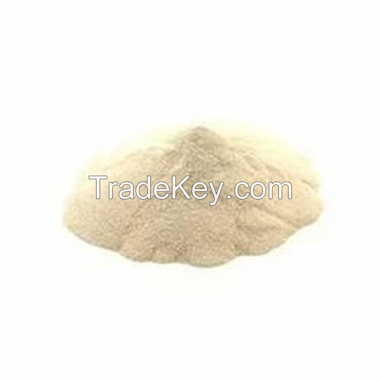High-quality whey protein for sale at wholesale price