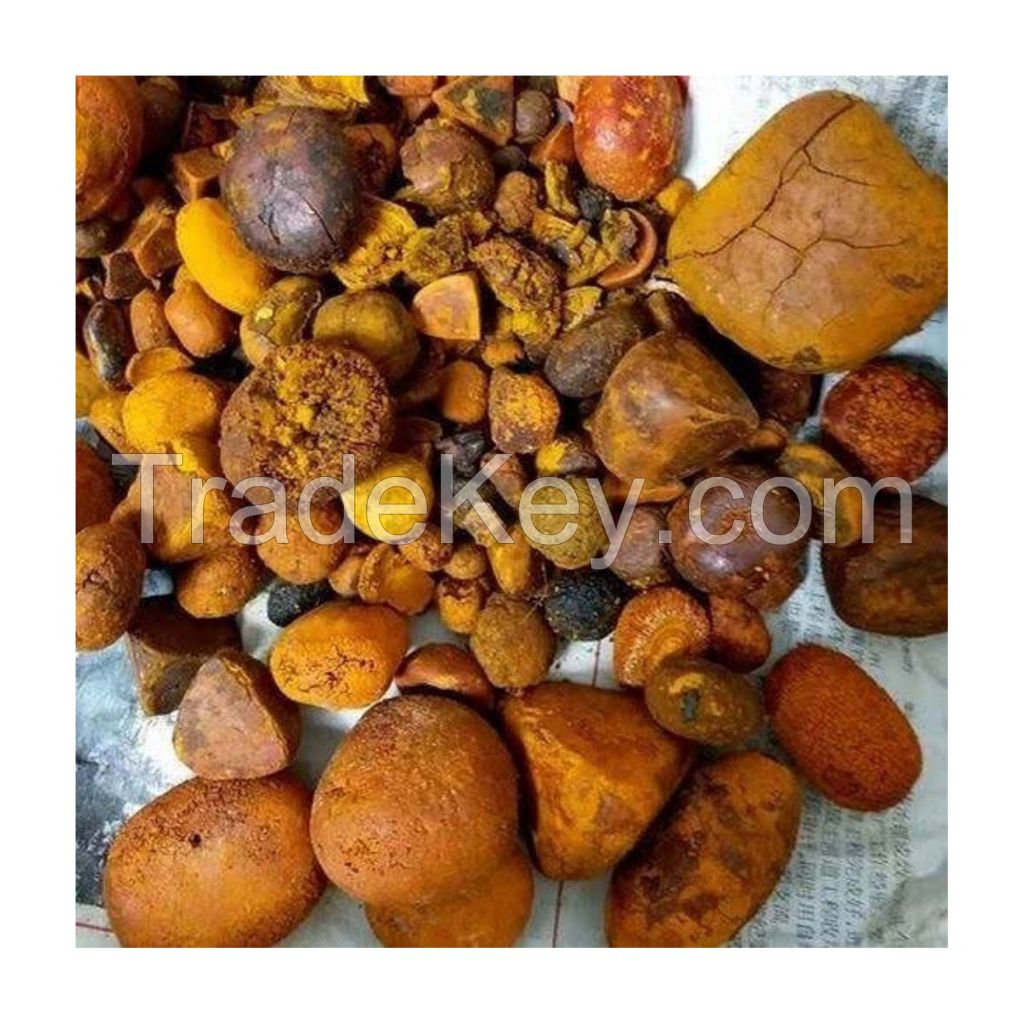 High-quality natural Ox Gallstones for pharmaceutical use