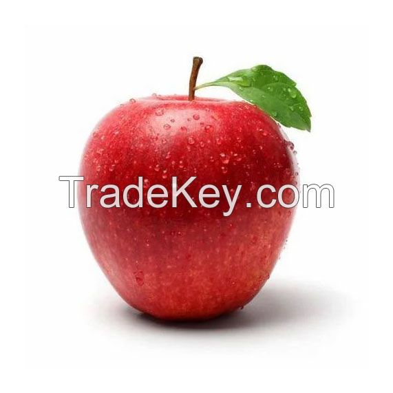 Organic Red Apples for sale in large quantities