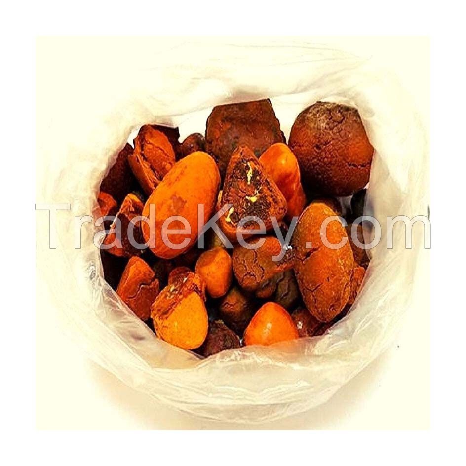 High-quality natural Ox Gallstones for pharmaceutical use