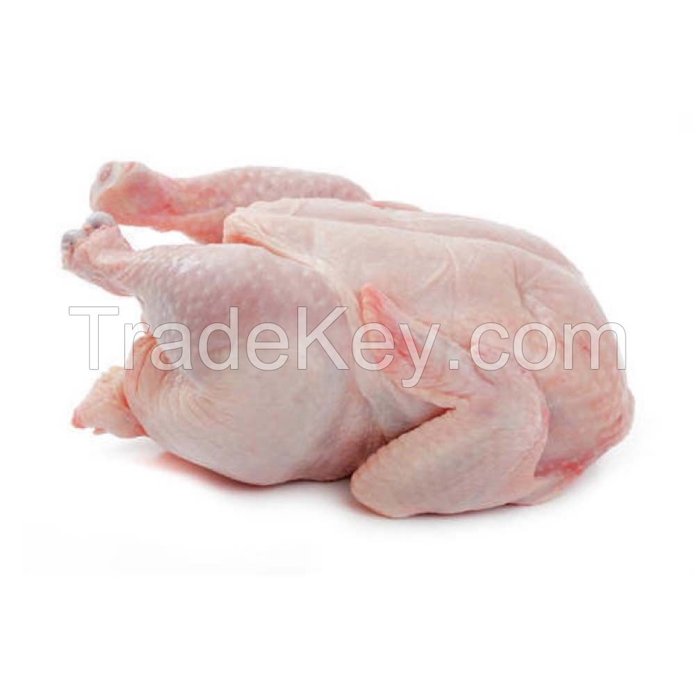 Premium Frozen Whole Chicken available in bulk