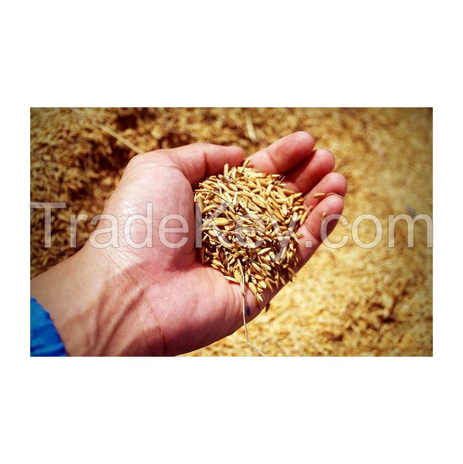 Wholesale wheat bran for livestock and poultry nutrition