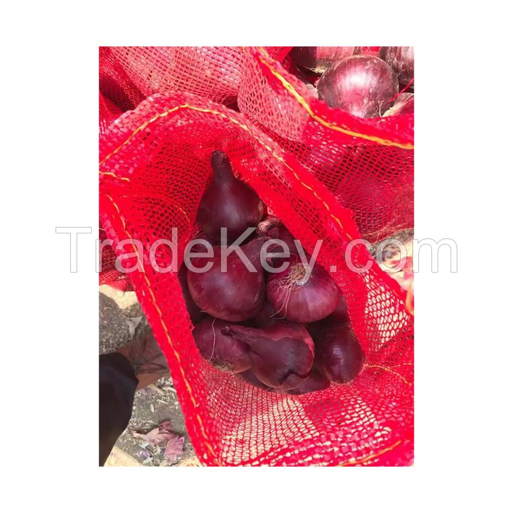 Long-lasting yellow onions for storage and resale