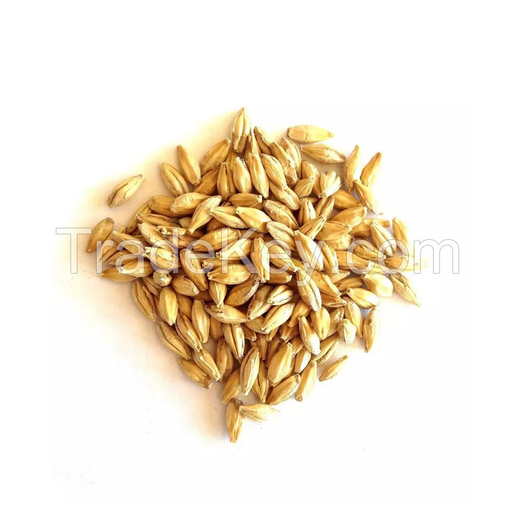 Premium Barley Malt available for sale at wholesale prices