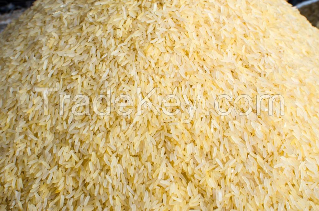 Freshly harvested rice for food industries and suppliers