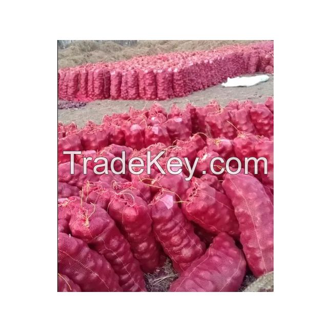 Bulk red onions available for export and distribution