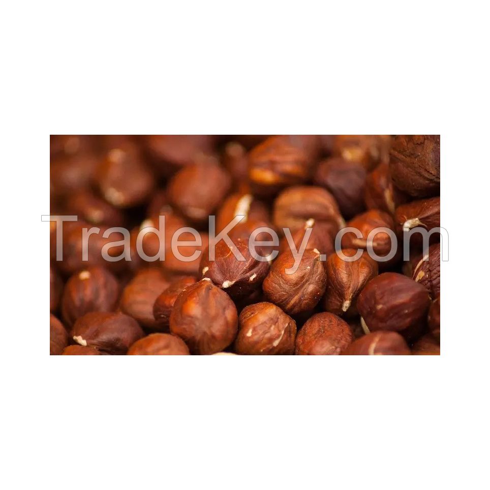 Premium raw hazelnuts for snacking and baking at wholesale price
