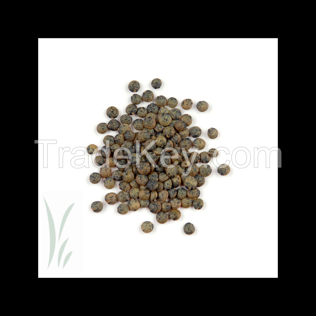 Premium Green Lentils available at wholesale prices