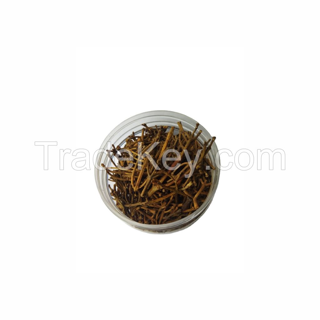 Premium whole cloves available at wholesale prices