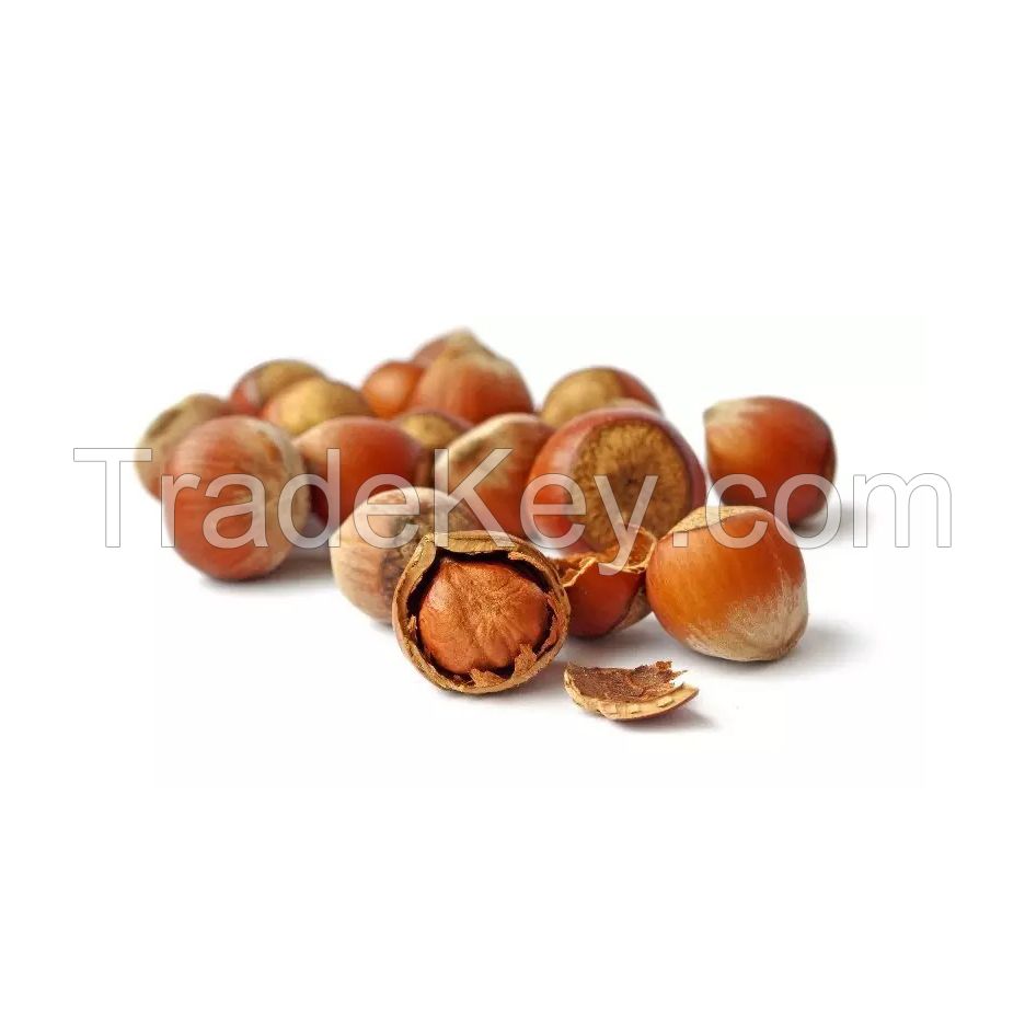 Premium raw hazelnuts for snacking and baking at wholesale price
