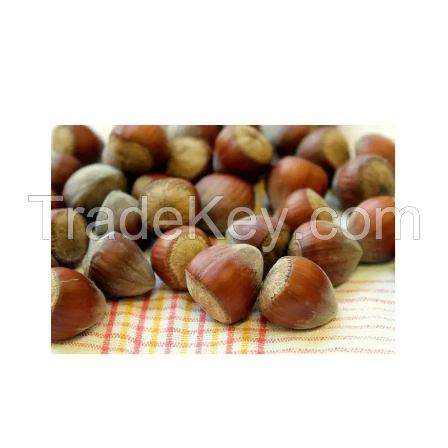 Premium raw hazelnuts for snacking and baking at wholesale price