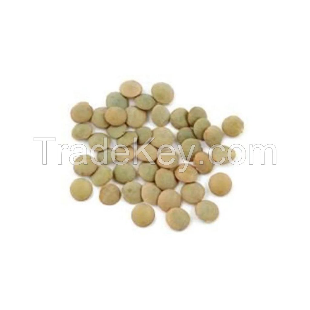 Premium Green Lentils available at wholesale prices High-quality Green Lentils