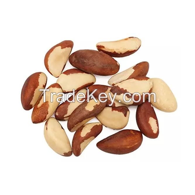 Bulk Brazilian nuts for retailers and distributors at a discounted rate