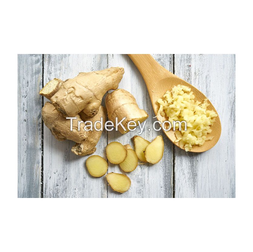 Bulk fresh ginger for food production and spice markets
