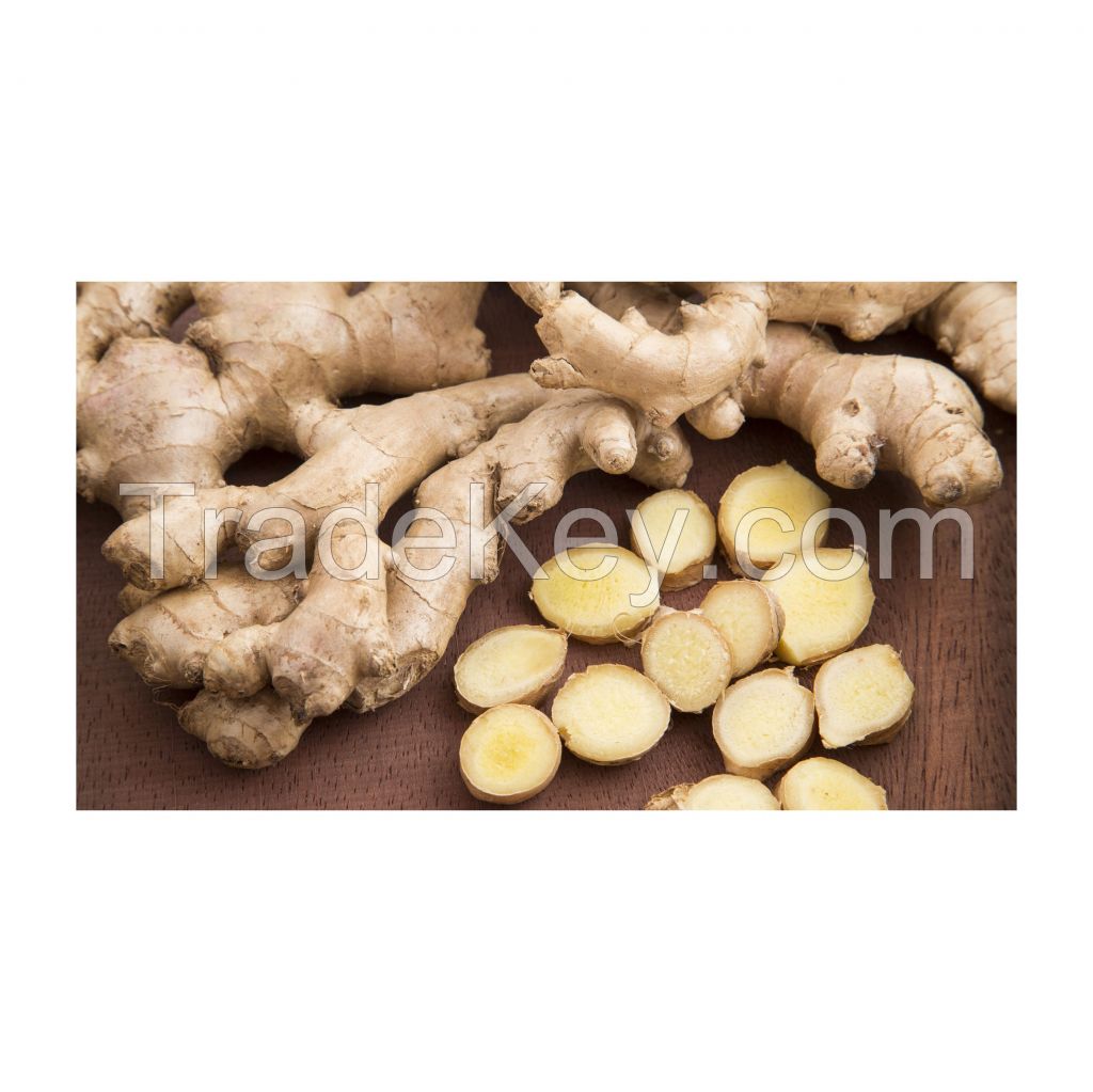 Bulk fresh ginger for food production and spice markets