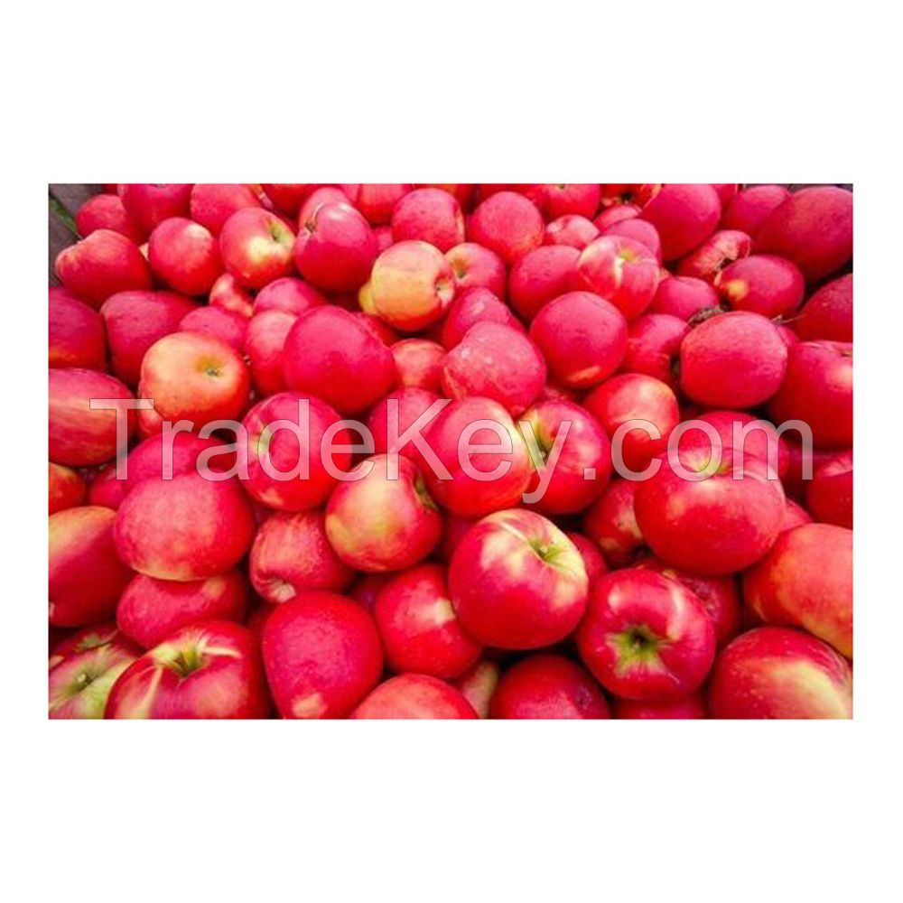 Wholesale red apples for international trade and supply