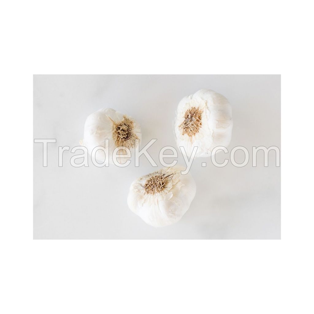 Fresh garlic cloves available for bulk supply at low prices