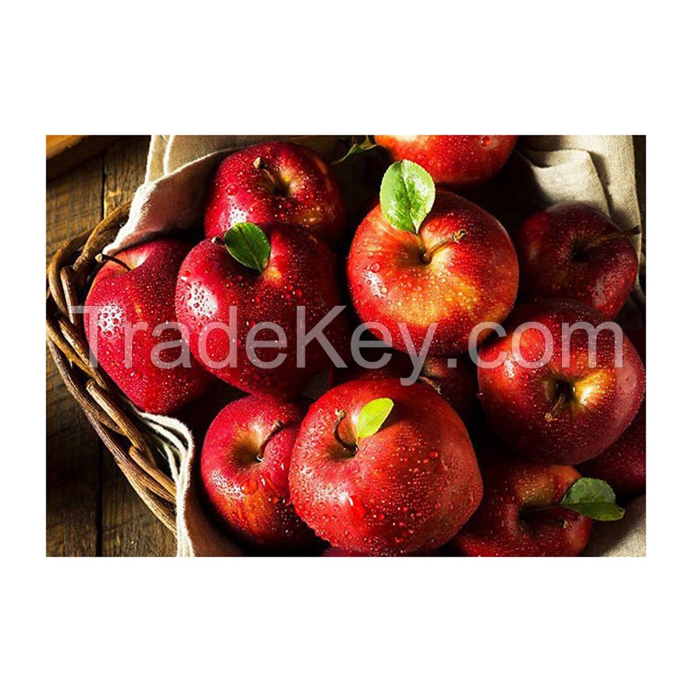 Wholesale red apples bulk supply premium quality available