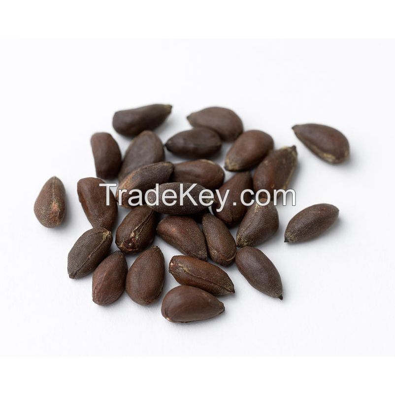 Fresh cotton seeds for oil extraction at competitive rates