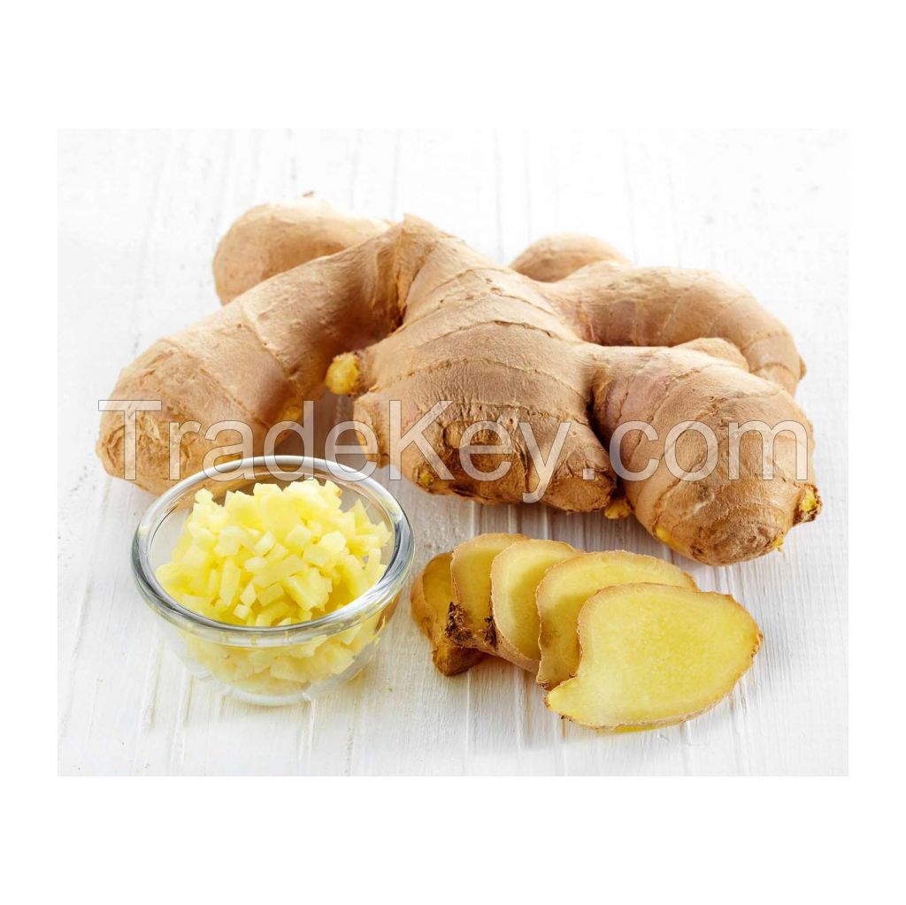 Fresh ginger roots available for bulk supply at low prices