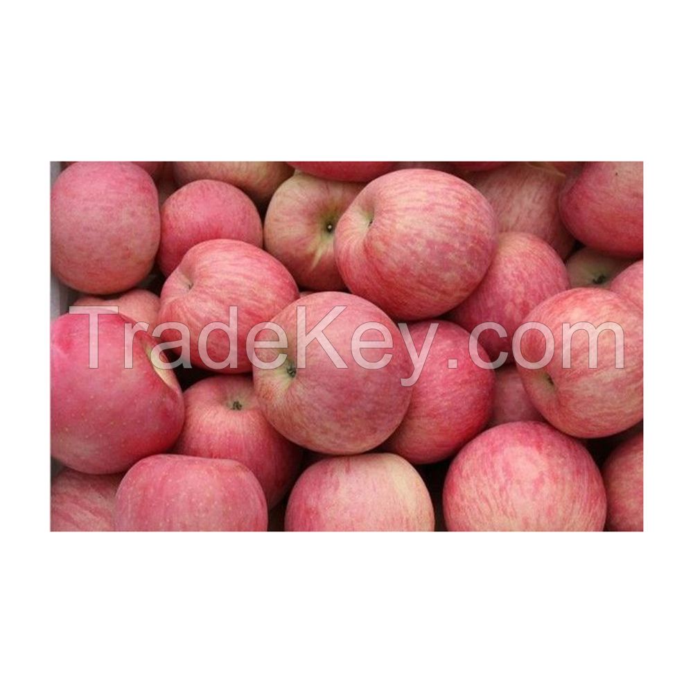 Wholesale red apples bulk supply premium quality available