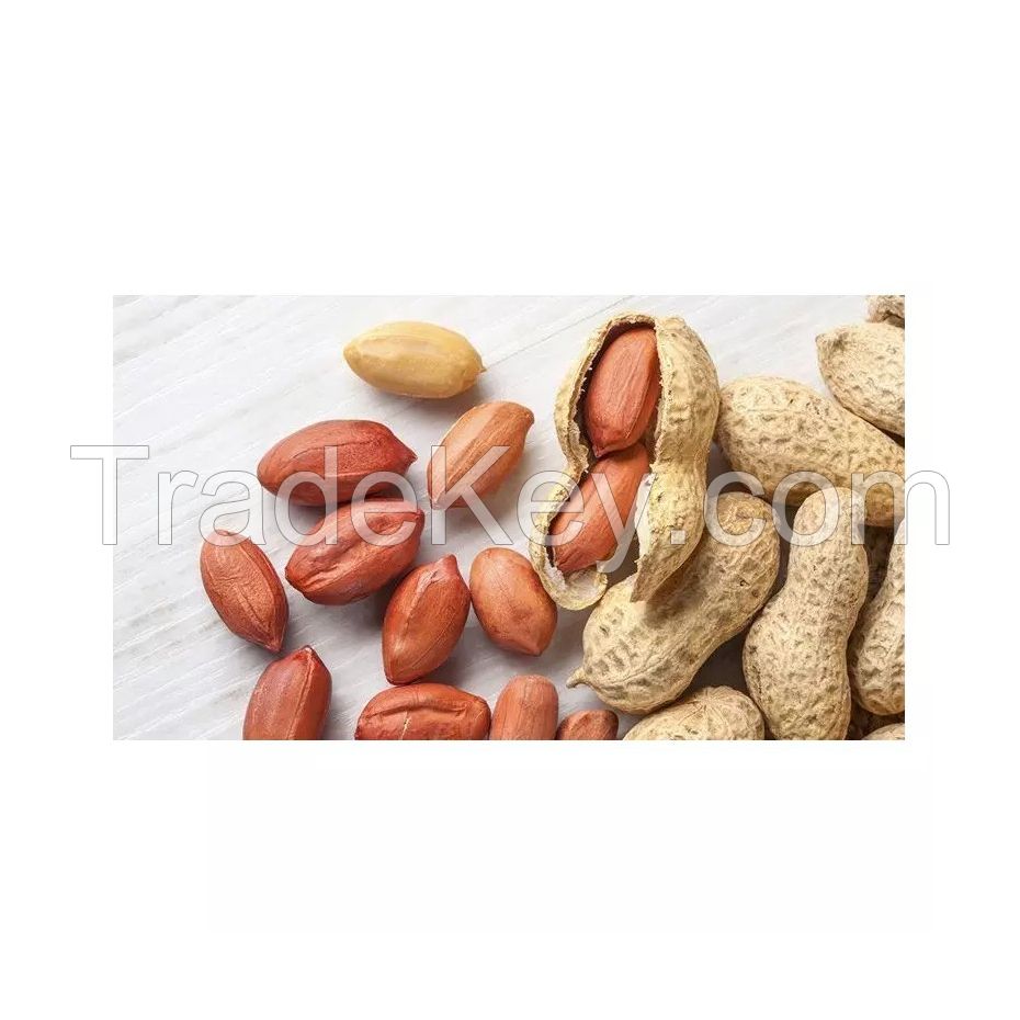 Organic peanuts for natural and chemical-free consumption