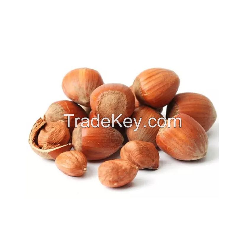 Bulk hazelnuts for international supply and distribution