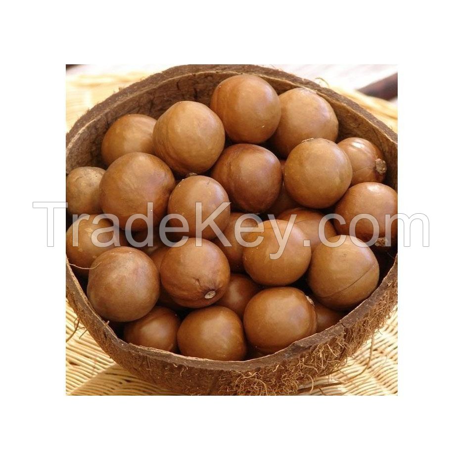 Premium Quality Nuts For Export And Trade