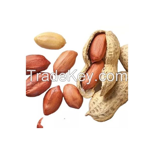 Peanut kernels for oil extraction and peanut butter production